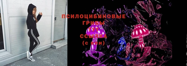 скорость Краснослободск